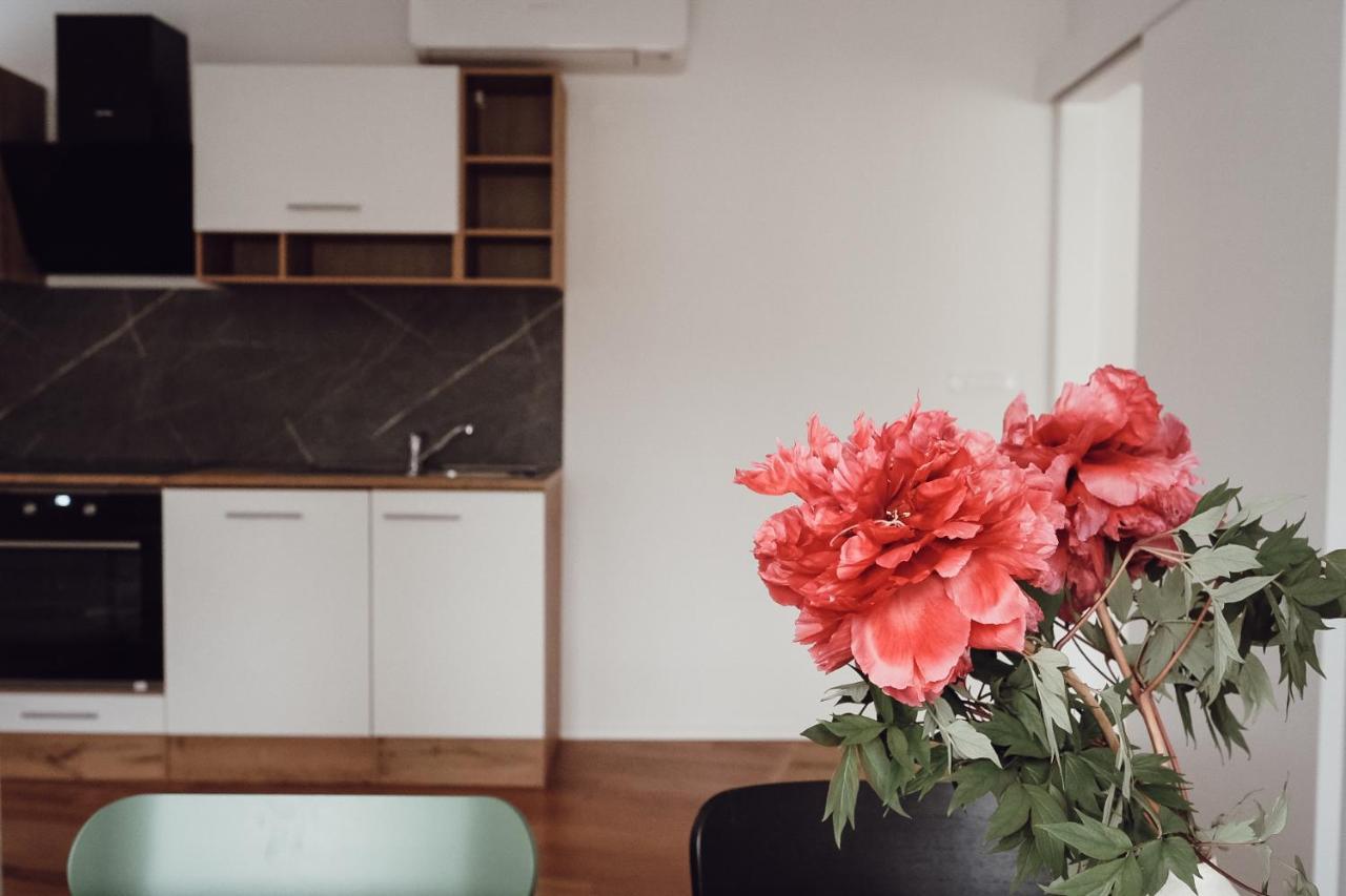 Central Apartment Maister Κραν Εξωτερικό φωτογραφία